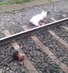 Perfect decapitation ... man commits suicide in train lines