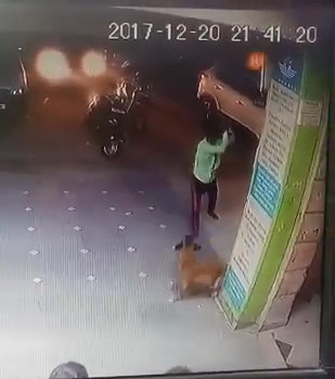 CCTV - Cruel murder of innocent dog in India