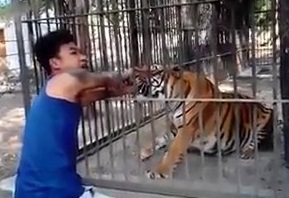 Totally asshole ... Tiger WINS ! 