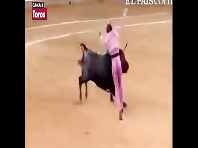 Bullfighter Fails