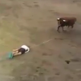 Bull Charges Into Mans Head And Drags Him On Ground