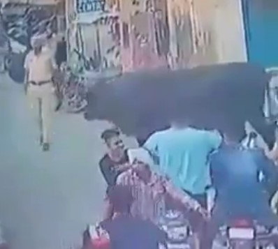 Angry Bull attacks and Kills Police Officer