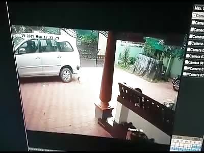 Accident Caught On CCTV: Latest News(8)