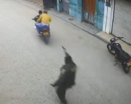 Robbery Of Cash Delivery Gone Wrong (New Angle)