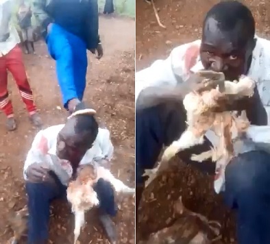 Thief Forced To Eat Raw Chicken By Angry Mob 