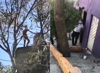 Mentally Ill Man Killed Himself by Jumping from Height In Mexico