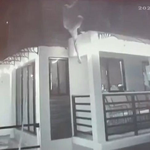 Security Camera Captures Home Thief Falling From Second Floor In Dominican Republic