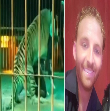 Tiger Attacks Circus Trainer, Bites His Neck During Live Performance In Italy