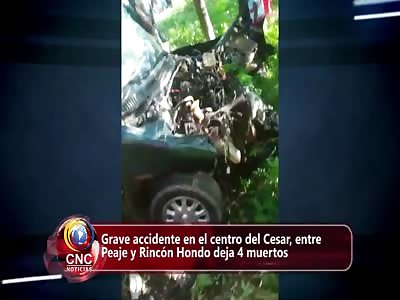 People killed in car crash 