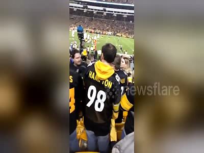 Steelers fans fight each other during NFL game