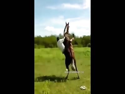Horse Hits Dude With The Sparta Kick!