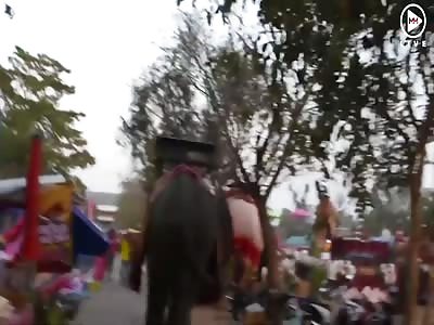 Chaos as festival elephant picks up young woman and goes on rampage