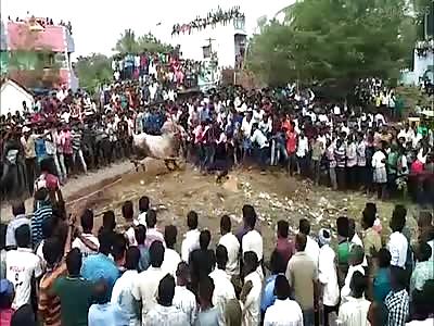 Rampaging Bull Leaps Into Crowd At Religious Festival