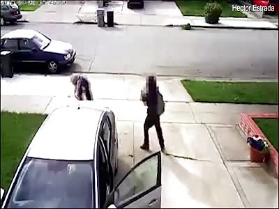 Brutal moment armed carjacker beats up ill grandfather on driveway