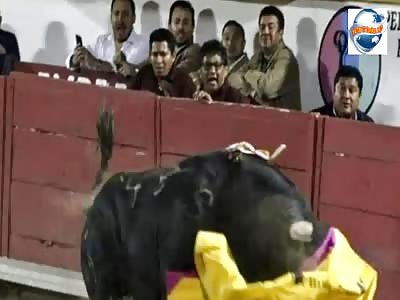 The bull killed the matador