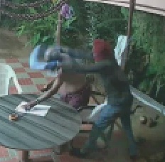 Failed Hit on Old Couple by Two Bungling Thieves 