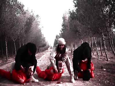 isis beheads spies and one of them squeaks  like a pig