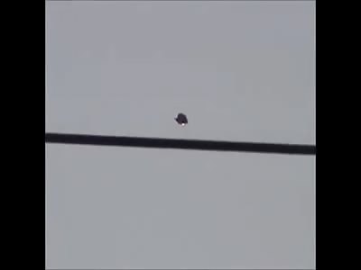 Battle drone UFO Mexico