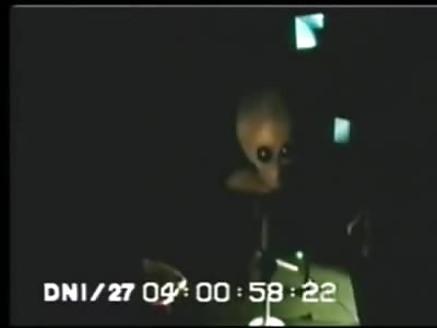 Alien Interrogation