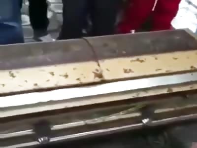 Opening a Coffin After 11 Years