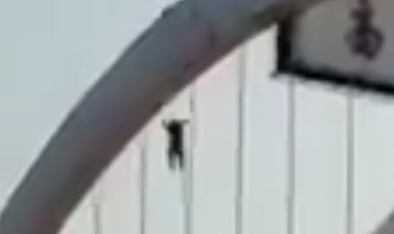 Dude Ends It All Jumping Off Bridge 
