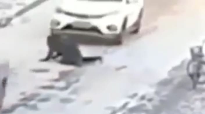 Suicide by SUV
