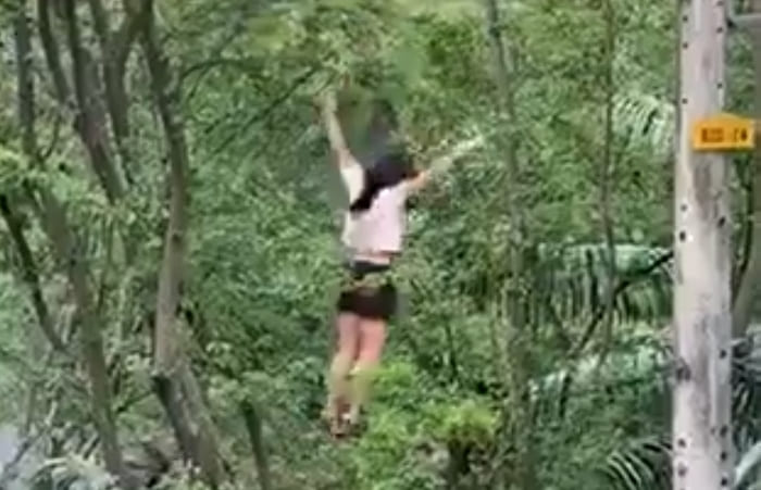 Woman Hanging from Telephone Lines Falls and Faceplants into Tree