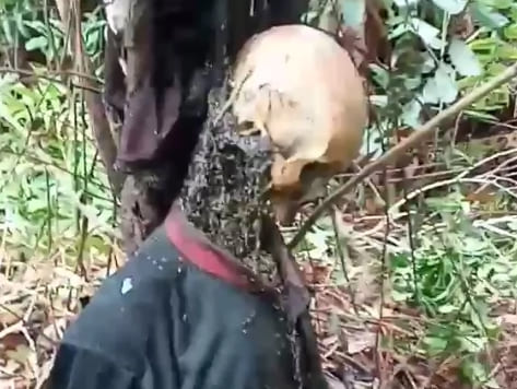 Jungle Suicide in Indonesia