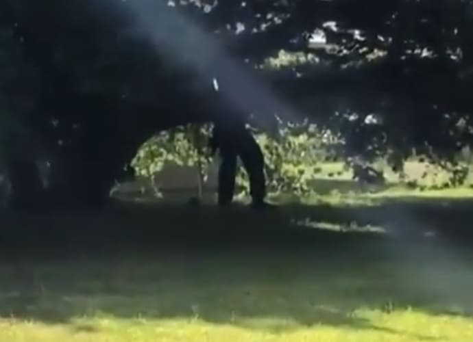 Houston Man Found Hanging in Tree