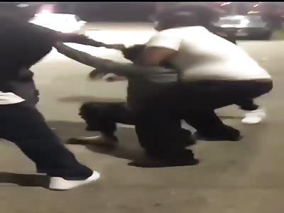 Guy Resisting Arrest Gets Jumped by Spectators