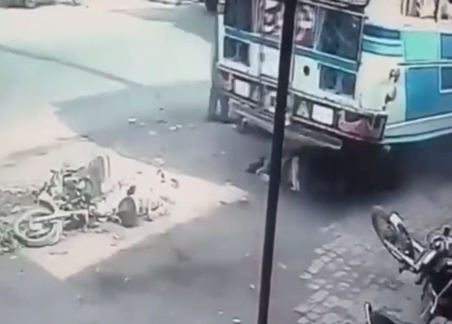Woman and Husband Crushed by Bus