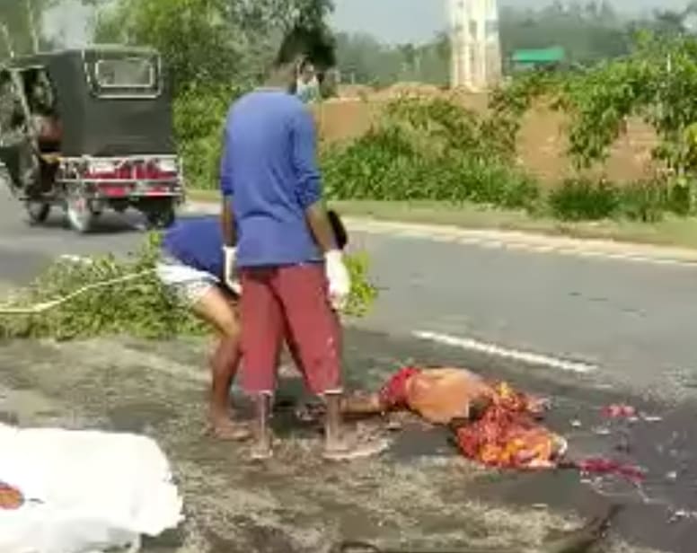 Woman Split in Half in Road Accident