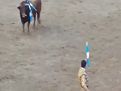 man is scalped in a bullfight