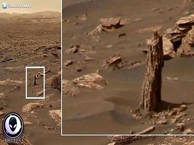 ANCIENT Tree Stump Found On Mars