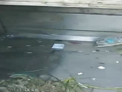 fetus abandoned in trash
