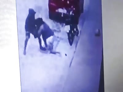 woman brutally beaten in robbery