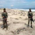Mexican marines set to prevent turtle eggs' poaching. 