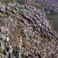 Winged Suit Daredevil Crashes into Side of Mountain 
