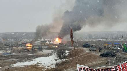 HEARTLESS! Pipeline Protesters Didn't Even Bother Taking their now Frostbitten Dogs from the Camp they Burned to Avoid Arrest