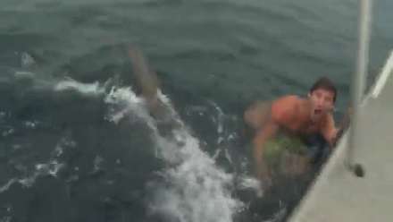 HOLY SHIT: Shark Attacks Swimmer