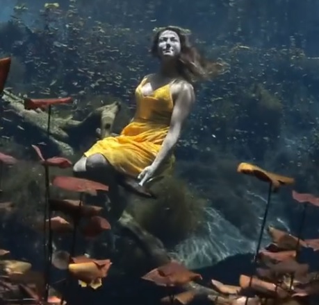Underwater Camera Captures Chick with Yellow Dress.