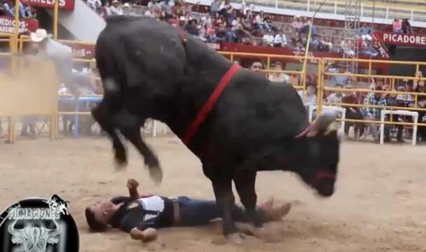 Angry Bull Seeking Revenge Stomps on Man's Face!