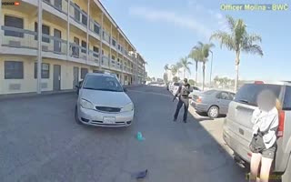 Police Kill Driver as he Backs over Man.