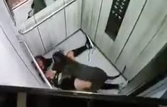 Woman Viciously Attacked By Pitbull In Elevator.