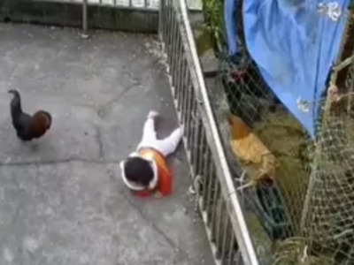 Evil Rooster Can and WILL be Killed for This!