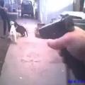 TWO VISCOUS PIT-BULLS ATTACK A COP AND GET SHOT INSTANTLY.