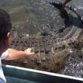 Huge Crocodile Rams There Boat...But what Happens Next Had them Scared for their Lives