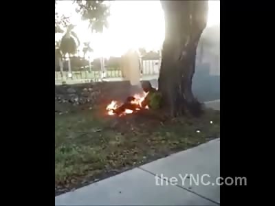 Very Shocking Video Shows Man Sitting by a Tree Burning Alive