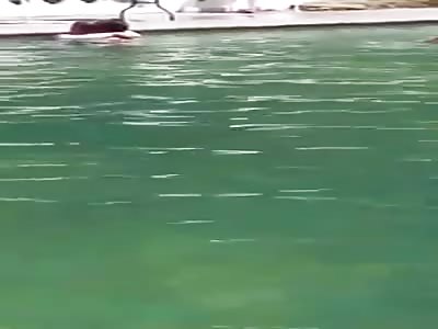 Couple Confronted by Security for Being Caught Fucking in Public Pool