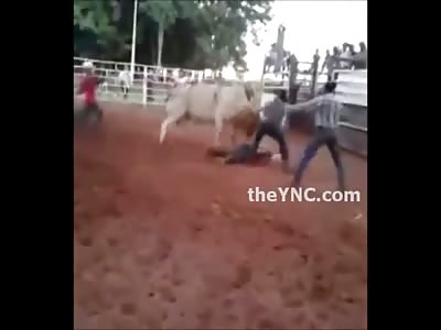 Amateur Cell Phone Records Man getting His Head Crushed by a Bull